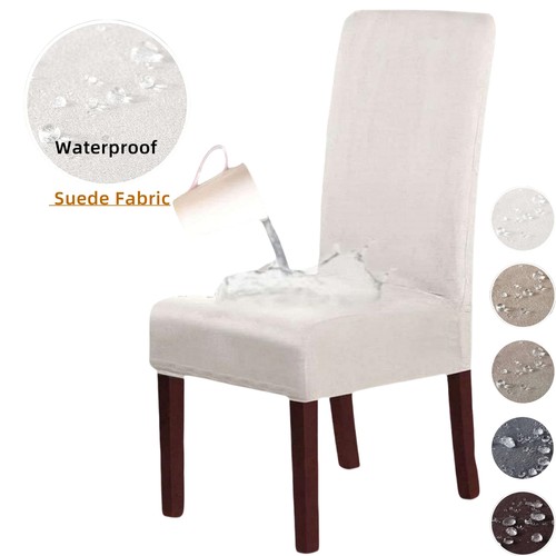 Suede fabric dining chair - suede,